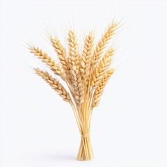 Wheat bunch isolated on white background natural organic plant agriculture harvest healthy food concept image
