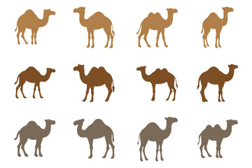 Simple Camel Illustration Design Set