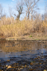 Fototapeta premium river in autumn