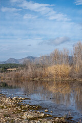 autumn landscape with lake