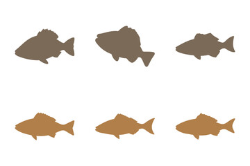 Simple Cod Fish Illustration Design Set