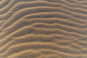 Ripples and ridges create a textured pattern on the surface of a sand dune.