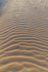 Ripples and ridges create a textured pattern on the surface of a sand dune.