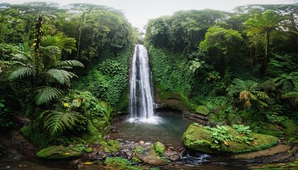 waterfall in the forest