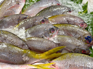 Close up of frozen fish display in a local traditional market. Various type of fishes caught from fresh sea water or fresh water. To be bought, consumed, and cooked by buyers.
