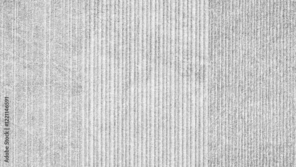 Poster A gray and white striped background with a gray and white striped carpet in the middle. The stripes on the carpet are of varying widths and are arranged in a way that creates a sense of depth