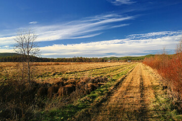 Obraz premium Rural path leading through an autumn landscape under a serene and expansive horizon in northern Sweden