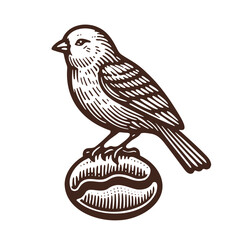 bird perched on coffee bean vintage sketch