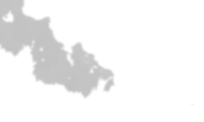 Realistic tropical leaves and branches shadows on transparent checkered background, natural overlay effect, isolated light and shadow composition, botanical shadow design