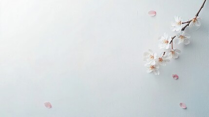 Creating a Minimalist Japanese Aesthetic with Cherry Blossoms for a Tranquil Nature-Inspired Background
