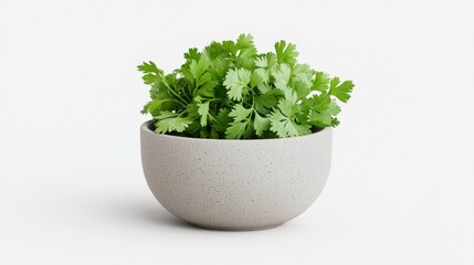 Fototapeta premium Depiction of Fresh Coriander Leaves in Bowl
