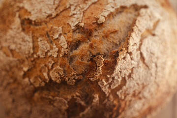 Freshly baked organic loaf bread crust