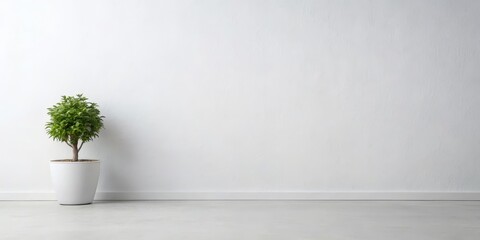 Simple White Wall with Single Potted Plant , solitary element, simple elegance