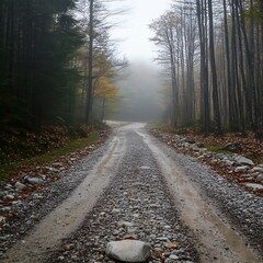 Fototapeta premium gravel road with a rock in the middle of it and trees in the background