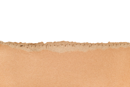 Torn cardboard Paper with space for text. Torn cardboard isolated on transparent background. Banner with copy space. High quality photo