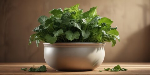 Fototapeta premium Leafy greens in a pot with earthy tone background, plants, organic