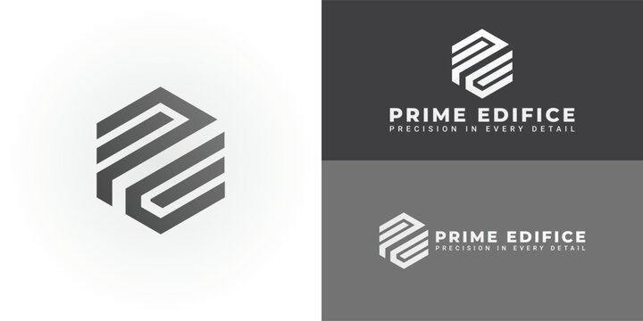 The dynamic logo design features the initials PE creatively integrated within a striking hexagonal shape, creating a unique and visually striking symbol that evokes a sense of structure and precision