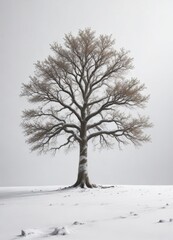 Fototapeta premium Single majestic tree standing alone on a snowy white background, solitude, snowy forest trees