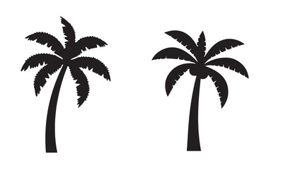 Obraz premium Palm Tree vector