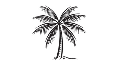 Fototapeta premium Palm Tree vector