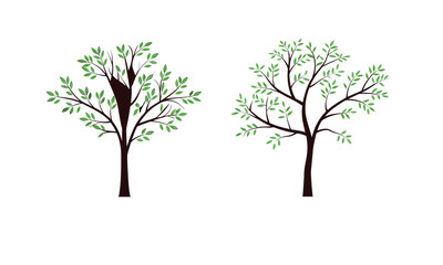 Obraz premium Palm Tree vector