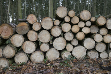 holzstapel