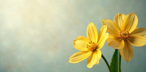Obraz premium Delicate golden flowers on a smooth background , luxurious, decor