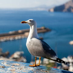Seagull by the sea with a coastal landscape in the background.