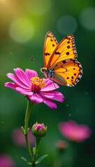 Obraz premium Butterfly sipping nectar from a flower, petal, garden, flower