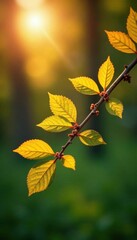 Obraz premium Close-up of tree branch with family relation lines , roots, relationships