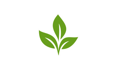 green leaf logo