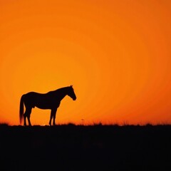 Fototapeta premium Silhouette of horse against orange background, sunset, horse