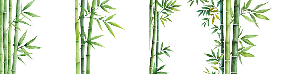 Obraz premium Watercolor of Bamboo Stalks