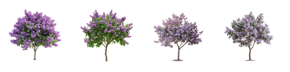 Fototapeta premium Blooming Lilac Trees - Vibrant Purple Floral Landscape Elements on transparent background
