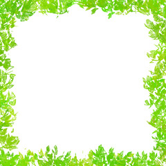 green leaves frame