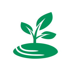 plant in the shape of heart