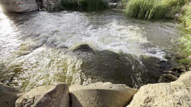 River water flowing over concrete and rock dam, creating whitewater rapids