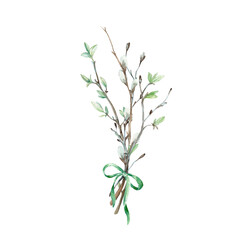 Bouquet of spring branches with leaves and pussy willow tied with a green bow. Watercolor hand-drawn illustration isolated on white background. Template for a postcard