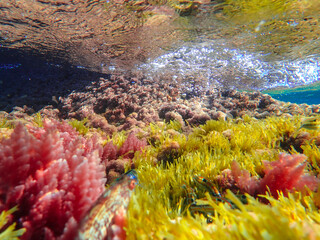 Dark blue ocean surface seen from underwater. Abstract waves underwater and rays of sunlight shining through, Sun light rays undersea deep, Underwater background with sea bottom, Mediterranean sea.