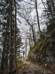 A solo hiker with a backpack walks uphill on a rugged forest trail. Bare trees and mossy rocks line the path, creating a serene mountain landscape.