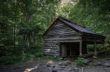 Old Cabin in the Woods