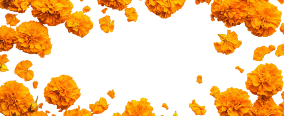 Marigold Frame: Vibrant orange marigolds create a beautiful frame, perfect for adding a touch of autumnal warmth to your designs. The scattered petals add a touch of whimsy.