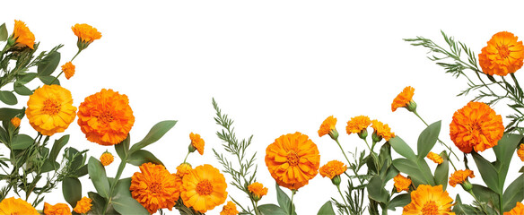Marigold Floral Border: Vibrant orange marigolds and lush green foliage create a lively, natural border, perfect for adding a touch of autumnal warmth to any design.