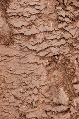 Wet mud texture close-up