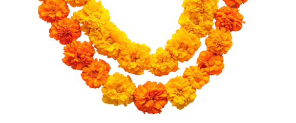 Marigold Garland: A vibrant garland of marigold flowers in shades of yellow and orange, capturing the essence of traditional Indian culture and festive spirit.  
