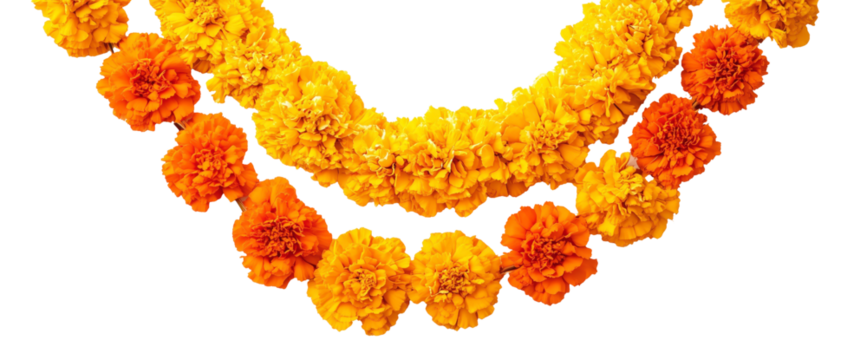 Marigold Garland:  A vibrant and fragrant marigold garland, woven with fresh orange and yellow blossoms, symbolizes celebration, auspiciousness, and the beauty of nature.  