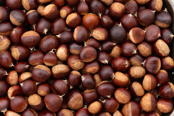 Close up of chestnuts on the market