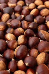 Close up of chestnuts on the market