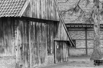 Alte Bauernhäuser im Münsgerland