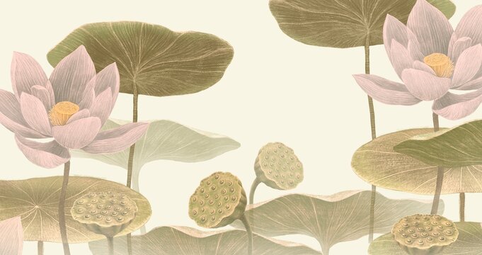 Lotus flower and leaf. nature art. drawing artwork. botanical background.	